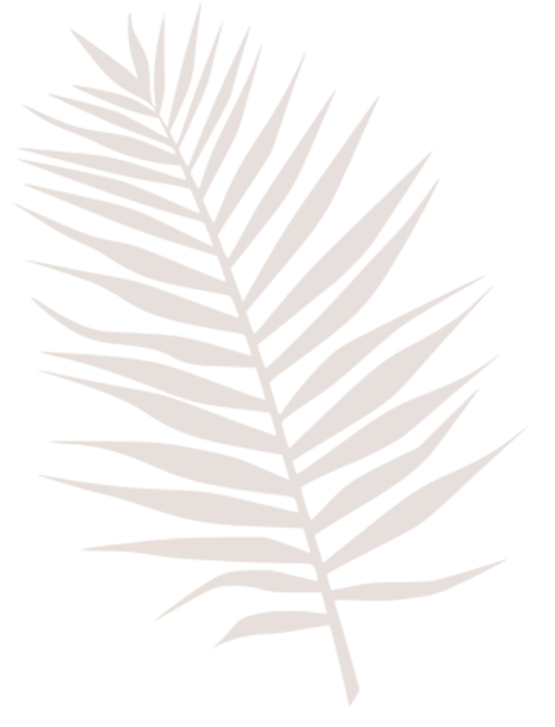 feuille-2